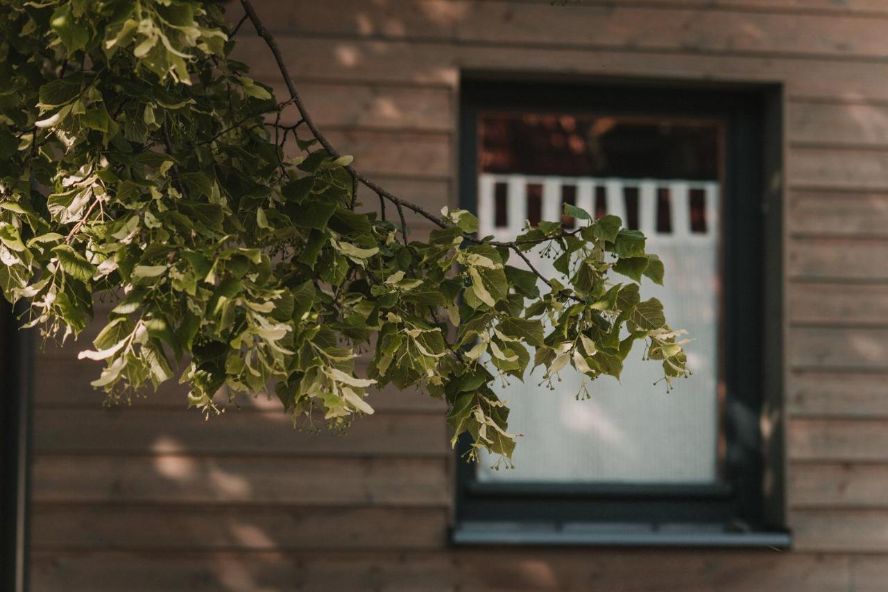 Osada Pod Lipa Daire Ostrowice Dış mekan fotoğraf